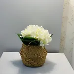 Family بيت شباب *